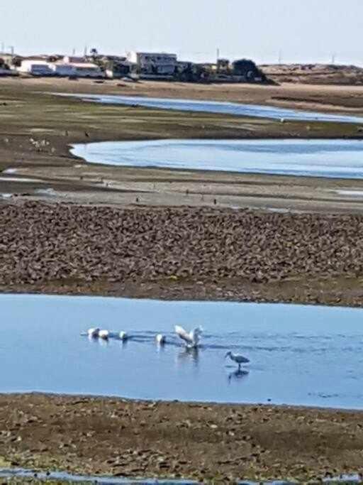 Ria Formosa Pineview Villa FAO Kültér fotó