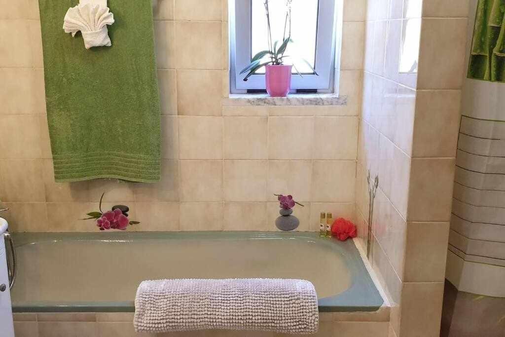 Ria Formosa Pineview Villa FAO Kültér fotó