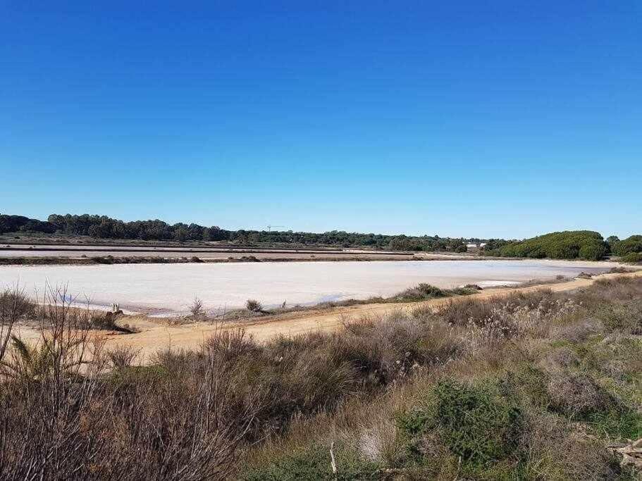 Ria Formosa Pineview Villa FAO Kültér fotó