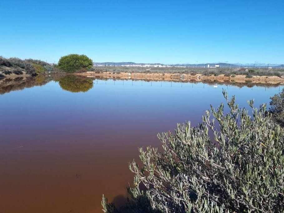 Ria Formosa Pineview Villa FAO Kültér fotó